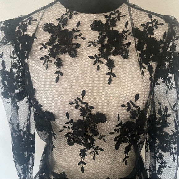 Eilly Bazar Shirt Sheer Floral Black Mock-neck Lace Tops Size Large - Picture 2 of 12